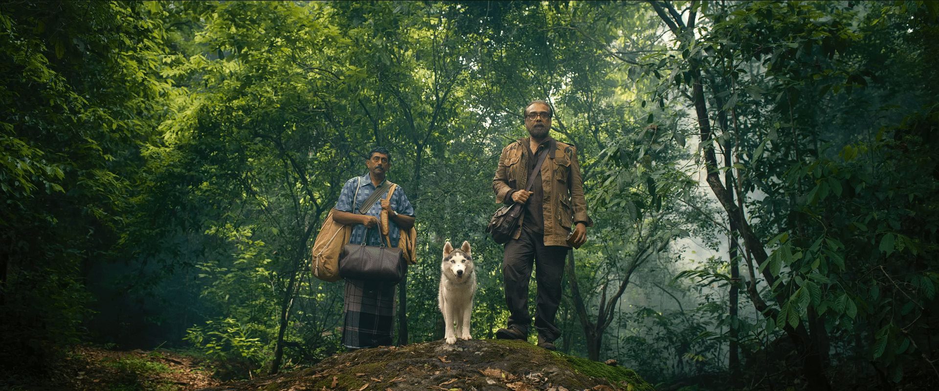 Two middle-aged men stand on a forest trail carrying travel bags, accompanied by a white dog between them, surrounded by dense green trees and misty morning light.